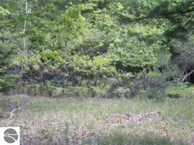 0 Morrison Rd unit 1763546, Alger, MI 48610 - photo 2