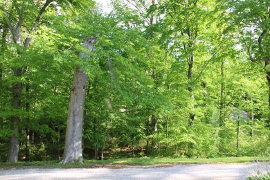 740 N 275 E, Princeton, IN 47670 - photo 4