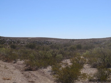 Tract 30 Indian Waterhole Ranch, Dryden, TX 78851 - photo 4