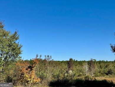 4065 Gordon Rd, Abbeville, GA 31001 - photo 7