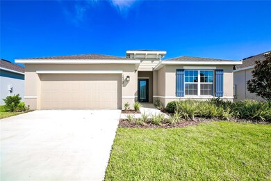 10207 Hawks Landing Dr, Land O' Lakes, FL 34638 - photo 4