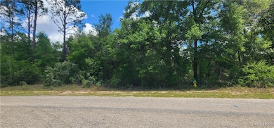 8619 N Dove Orchid Dr, Citrus Springs, FL 34434 - photo 3