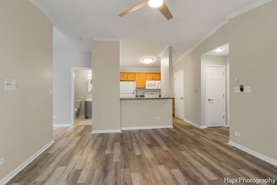 4408 W Shamrock Ln unit 3D, McHenry, IL 60050 - photo 2