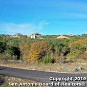 18735 Shadow Canyon Dr, Helotes, TX 78023 - photo 2