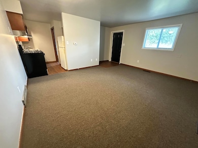 123 E 37th Ave unit 2, Griffith, IN 46319 - photo 3