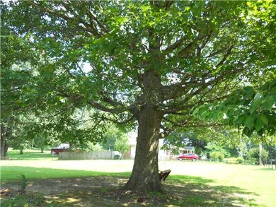 Huge tree in front yard.