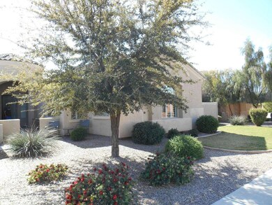Front Yard Landscaping View