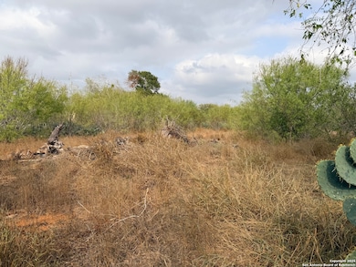 569 Couser Blvd, Charlotte, TX 78011 - photo 5