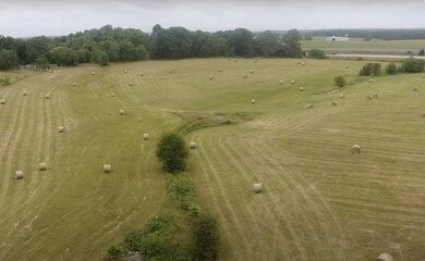 Screen Shot 2020-07-06 at 2.11.08 PM