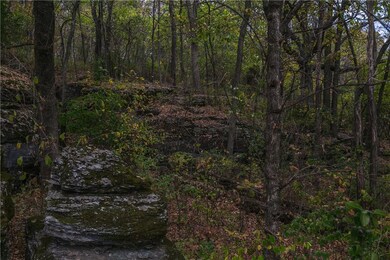 716 E Thornstone Ave, West Fork, AR 72774 - photo 6