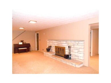 Recreation Room. Large, open Rec Room with Stone C
