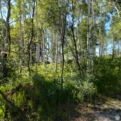 1 E Powder Mtn Cir unit 22, Spanish Fork, UT 84660 - photo 5