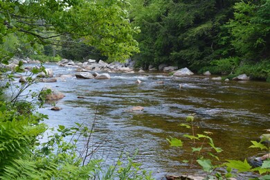 100 U S 302, Twin Mountain, NH 03595 - photo 7