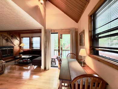 72 Red Squirrel Run, Davis, WV 26260 - photo 5