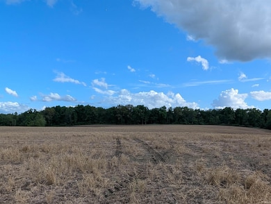 0 Cr 375 S, Loogootee, IN 47553 - photo 3