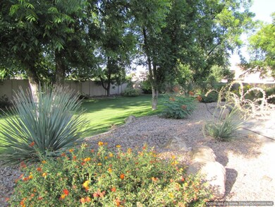 Beautiful Front Yard