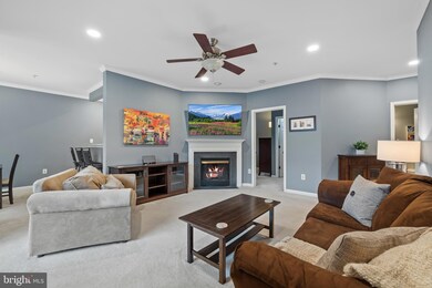 11310 Westbrook Mill Ln unit 201, Fairfax, VA 22030 - photo 7