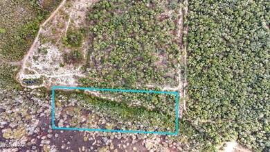 0 Pine Log Rd unit 782404, Chipley, FL 32428 - photo 6