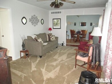 1213 Grandview Ave, Jacksonville, IL 62650 - photo 5