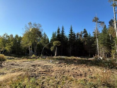 Lot 25 H Boot Cove Rd, Lubec, ME 04652 - photo 4
