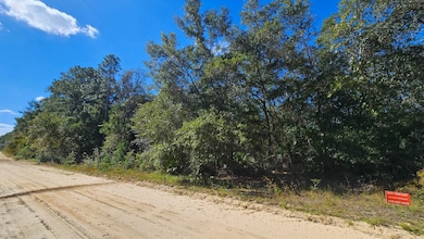 0 Neilsen Ave unit 25581217, Interlachen, FL 32148 - photo 5