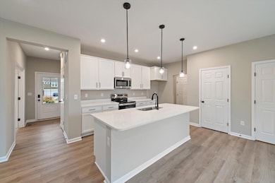 1805 Autumn Maple Dr, Independence, KY 41051 - photo 2