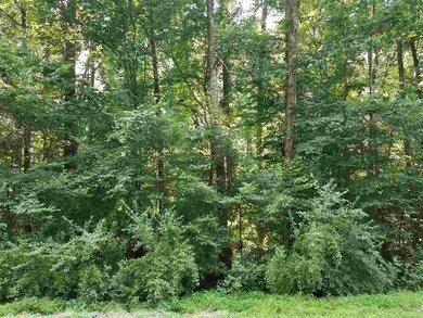 0 Moore Mountain Rd unit 2401556, Baldwin, NC 27312 - photo 5