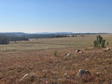 11815 W Argyle Rd, Custer, SD 57730 - photo 5