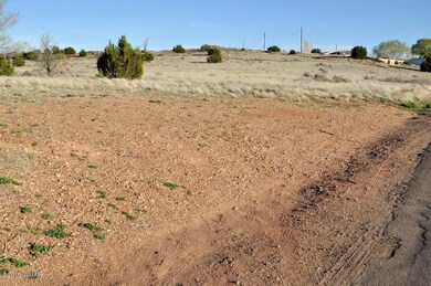 3.78 ac Papermill Rd unit & Foothills, Taylor, AZ 85939 - photo 7