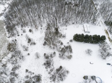 7540 Thornapple Dales Dr SE, Alto, MI 49302 - photo 3