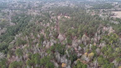 TBD An County Road 353, Palestine, TX 75803 - photo 3