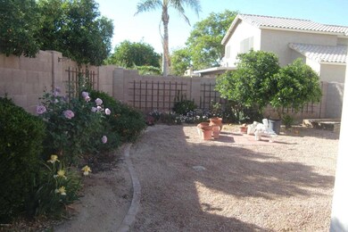 Backyard 2