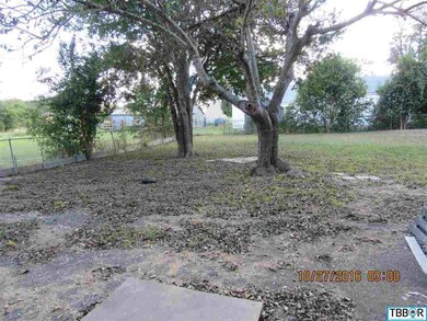 209 Cypress Ave, Troy, TX 76579 - photo 4