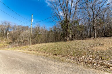 0 Salt Ln unit RTC2796899, Savannah, TN 38372 - photo 3