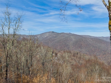 Lot 38 Black Bear Run, Mars Hill, NC 28714 - photo 5
