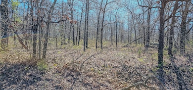 12 Lenna Rd, Eufaula, OK 74432 - photo 2