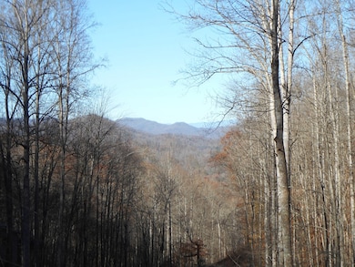 00 Horseshoe Ridge, Franklin, NC 28734 - photo 2