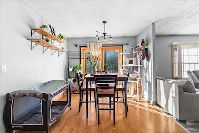 1114 E Station Rd, Sheridan, MI 48884 - photo 7