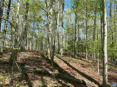 0 Milton Dr unit 615250, Milton, VA 22947 - photo 7