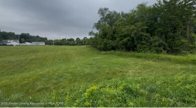0 W Jolly Rd, Lansing, MI 48910 - photo 6