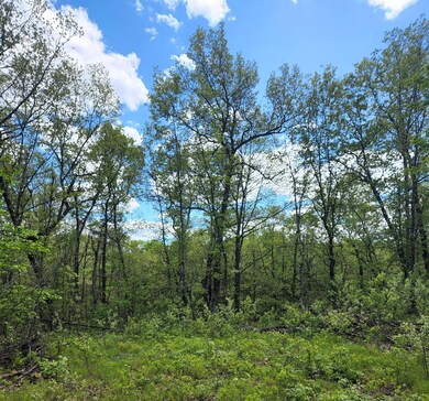 9577 N Woodbridge Dr Ave, Bitely, MI 49309 - photo 3