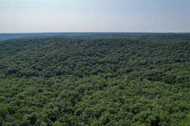 0 Coffman Rd unit Lot WP002 20945157, Farmington, MO 63640 - photo 6