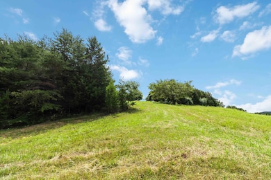 1245 Bridge Hollow Rd, Somerset, KY 42503 - photo 2