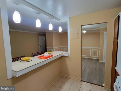 11402 Cherry Hill Rd unit MF-104, Beltsville, MD 20705 - photo 7