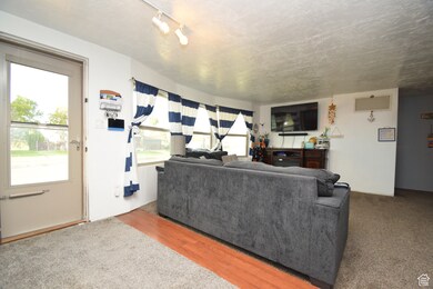 Carpeted living area featuring wood finished floors and track lighting