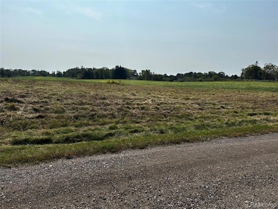 Parcel N N Hacker Rd, Hartland Township, MI - photo 6