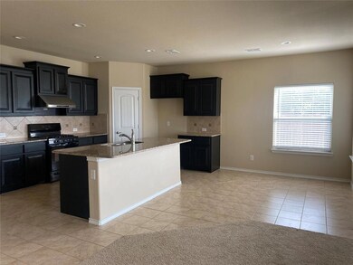 301 Lemon Mint Ln, Denton, TX 76210 - photo 6