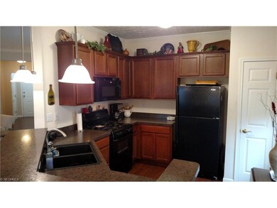 1013 Aqua Marine Blvd unit 51, Avon Lake, OH 44012 - photo 5