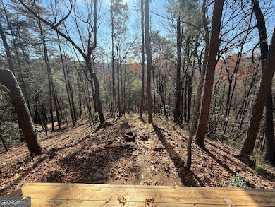 447 Creekview Dr, Ellijay, GA 30536 - photo 3