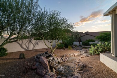 fountain, stream & pond